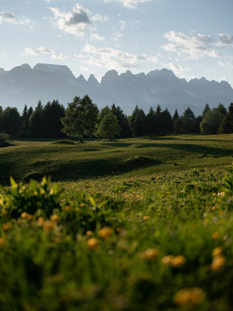 Serene landscape of Dolomites in Trentino-South Tyrol with lush fields and mountains.